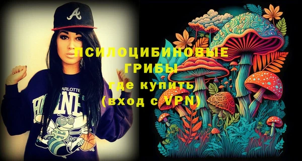 mdpv Горняк