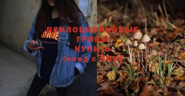 спайс Горнозаводск