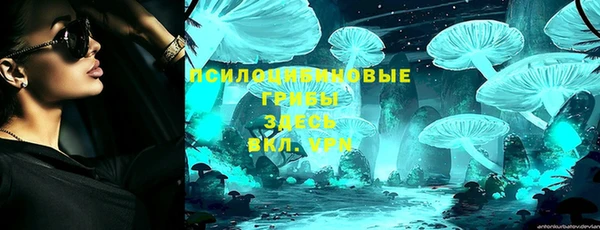 mdpv Горняк